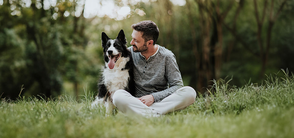 man sitting with dog on grass