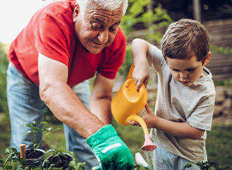 Grandfather and grandson gardening