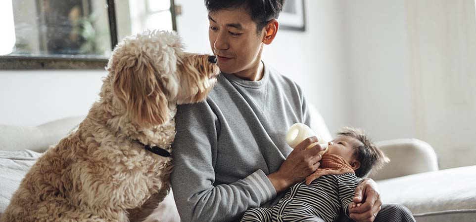 Un padre alimenta a su bebé sentado en un sofá junto a un perro en la casa