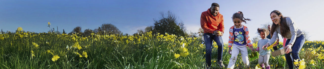 mixed family walking in a field of grass with flowers