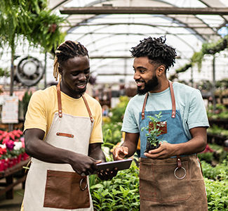 Coworkers taking care of plants using digital tablet 